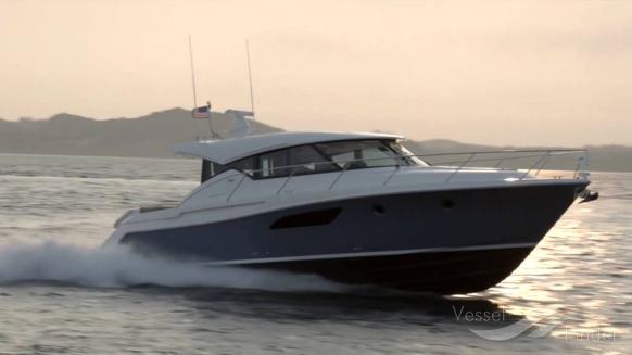 ENDLESS SUMMER photo