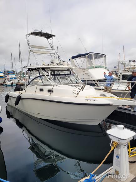 TESSA ELIZABETH photo