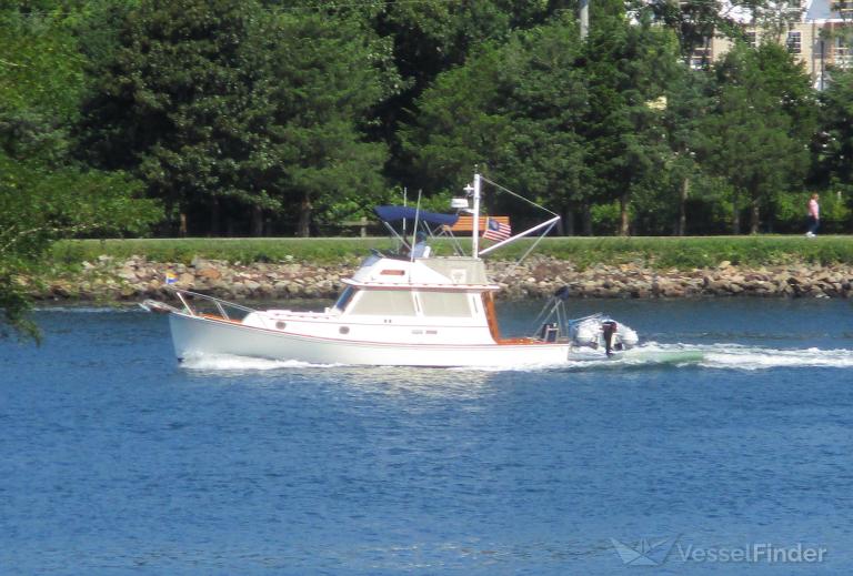 AVALON photo