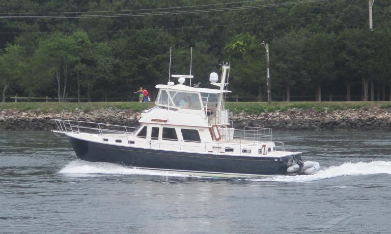 LUPO DI MARE photo