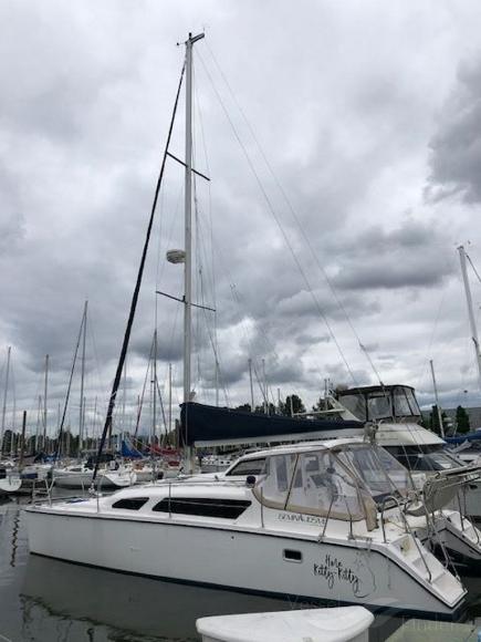 HERE KITTY KITTY photo