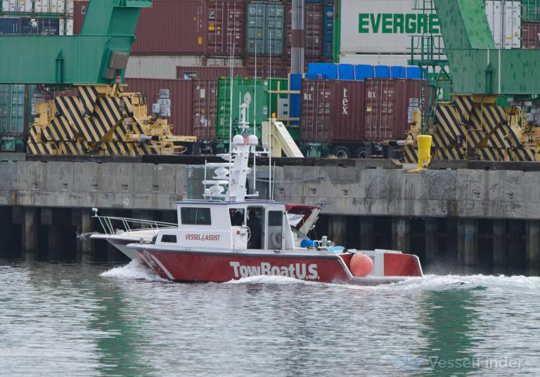 V.A.POINT VICENTE photo