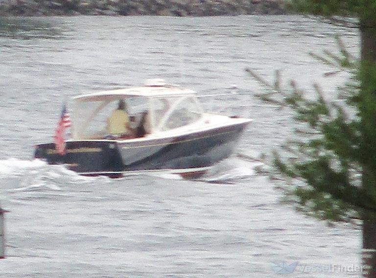 URSUS MARITIMUS photo