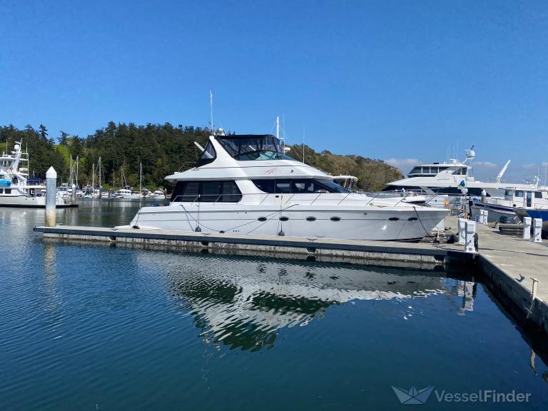 COMFORTABLY NUMB photo