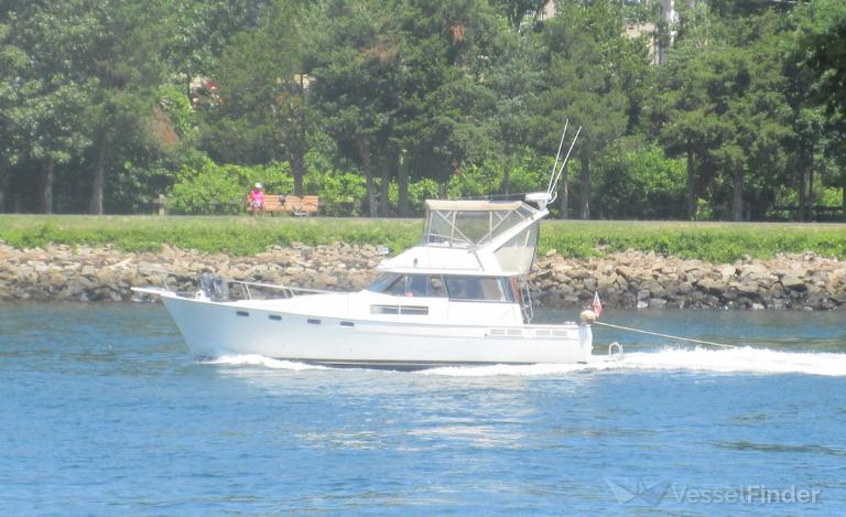 HARBOR VIEW photo