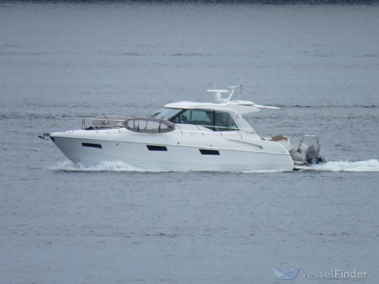 SALISH OTTER photo