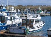 BLUEFIN