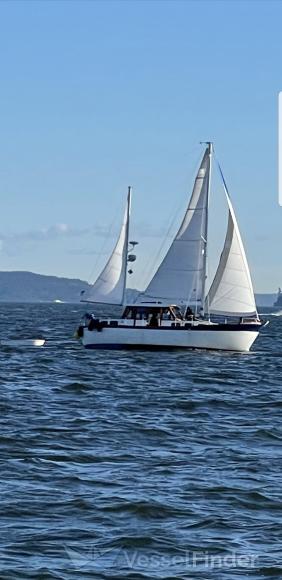 SALISH MIST photo