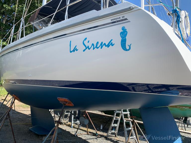 LA SIRENA photo
