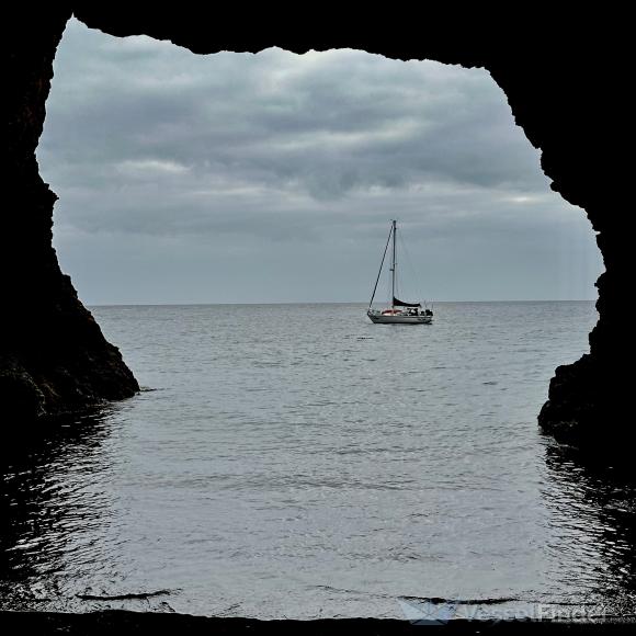 SEA TREK photo