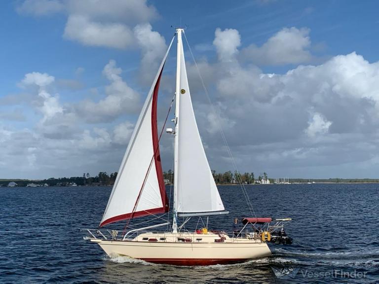 ODYSSEY photo