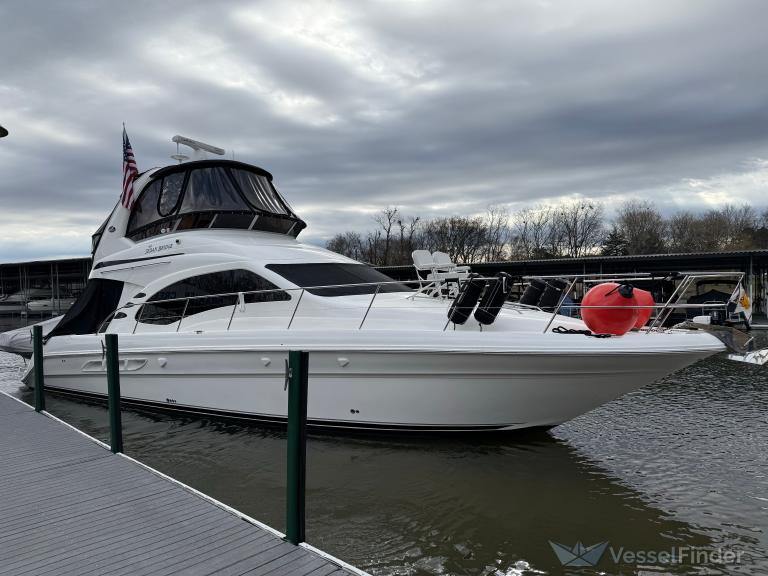 NAUT RESPONSIBLE photo