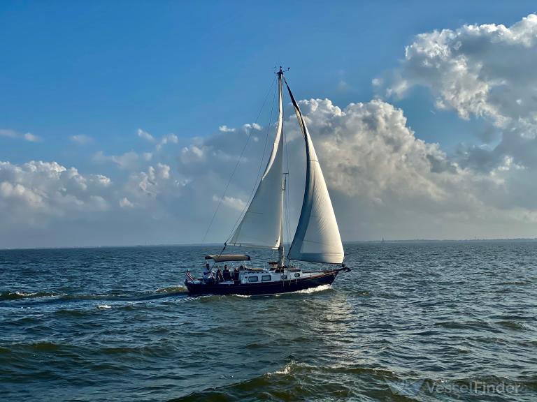 MALOHA photo