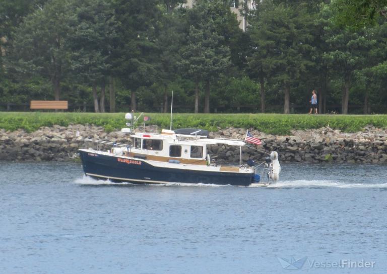 LUCKY FIN II photo