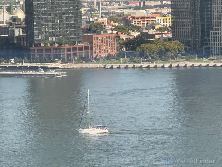 GONE WITH THE WIND photo