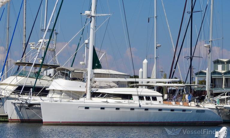 THE BODHISATTVA photo