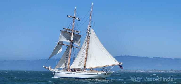 MATTHEW TURNER photo