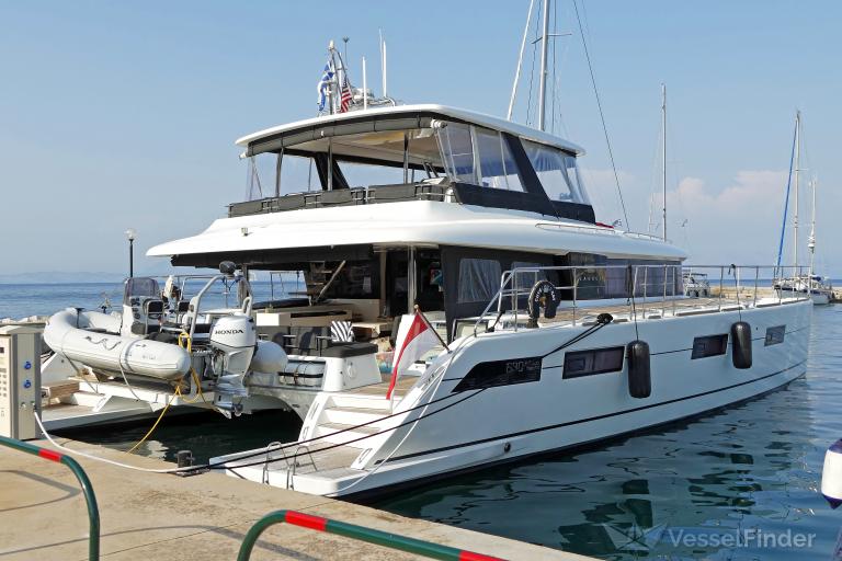 CUTE LITTLE CAT photo