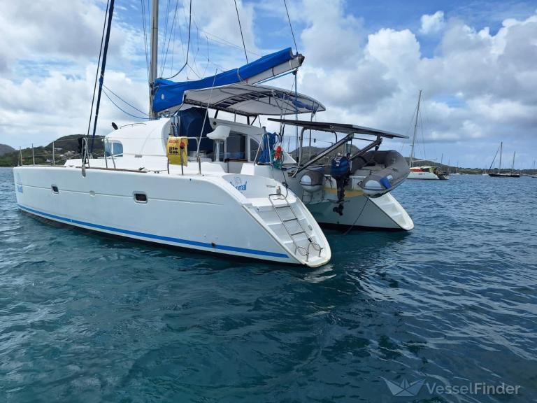 AKUMAL photo