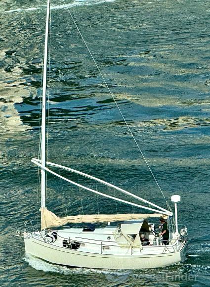 WINDHOVER photo