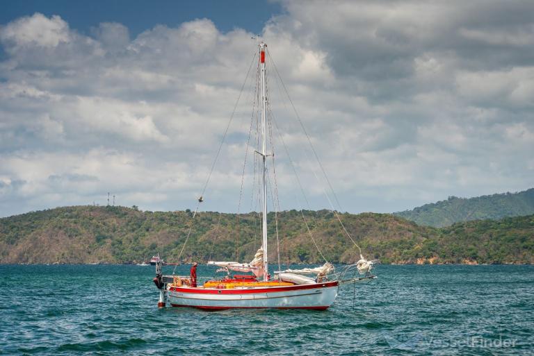 POMPOEN SOLO SAILOR photo