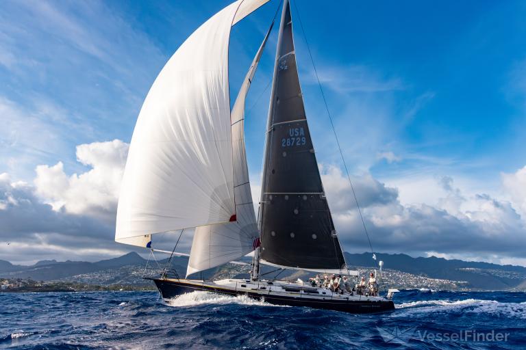 PINBALL WIZARD photo