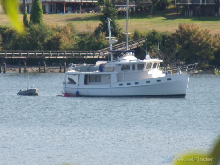 MAJIC DOLPHIN photo