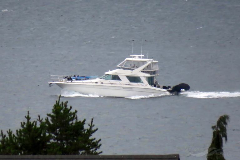 TOO MANY OPTIONS photo