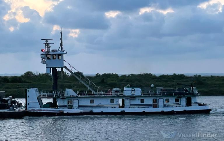 MARY BURKE LILES photo