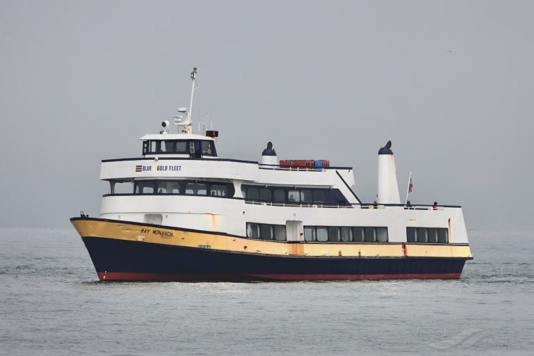BAY MONARCH photo