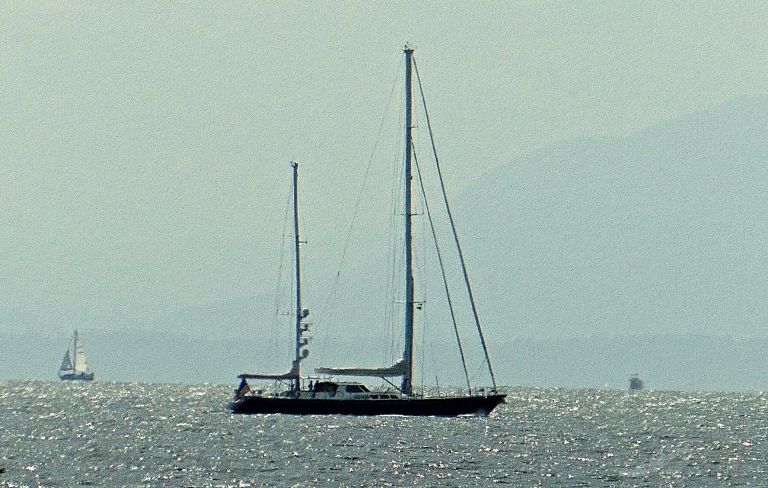 sy avalon yacht