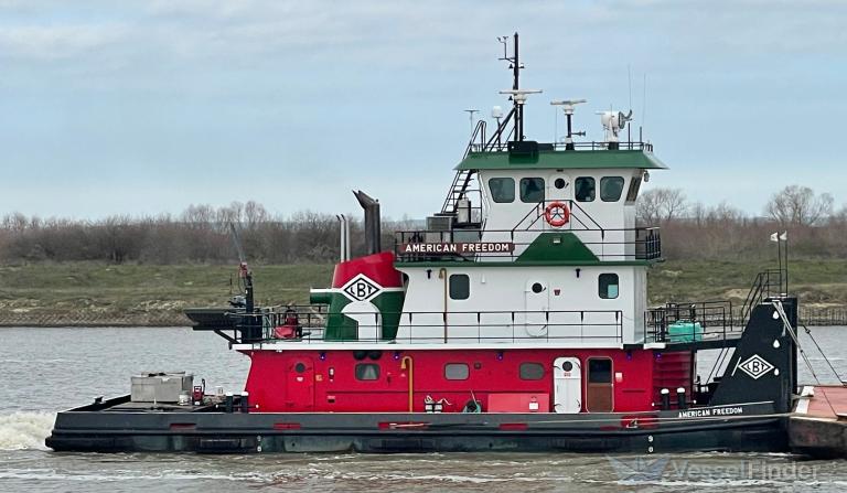 AMERICAN FREEDOM photo