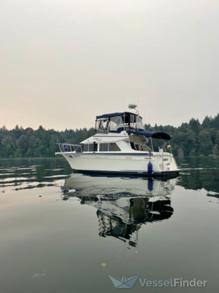 LIGHTLY SALTED photo