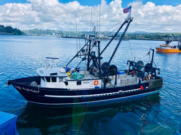 PACIFIC FUTURE photo