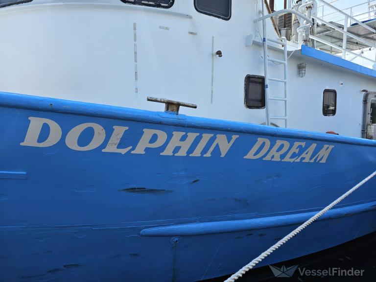 DOLPHIN DREAM photo