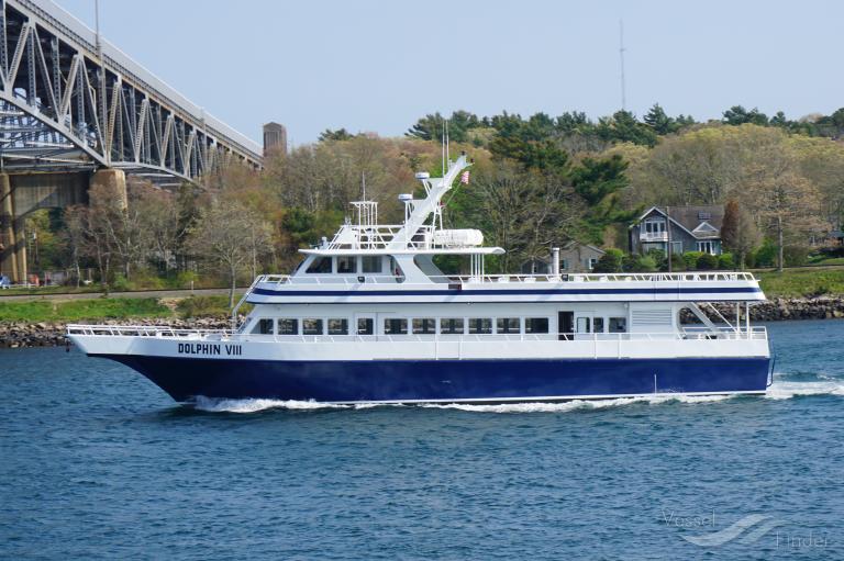 DOLPHIN VIII photo