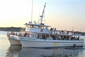 eco tours williams party boats