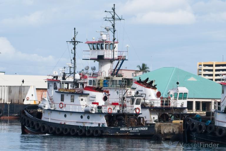 AMERICAN CONTENDER photo