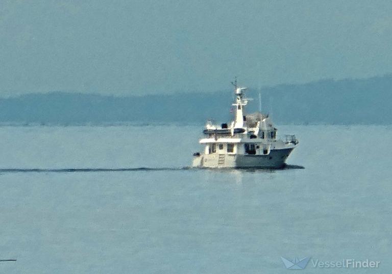 SALACIA photo