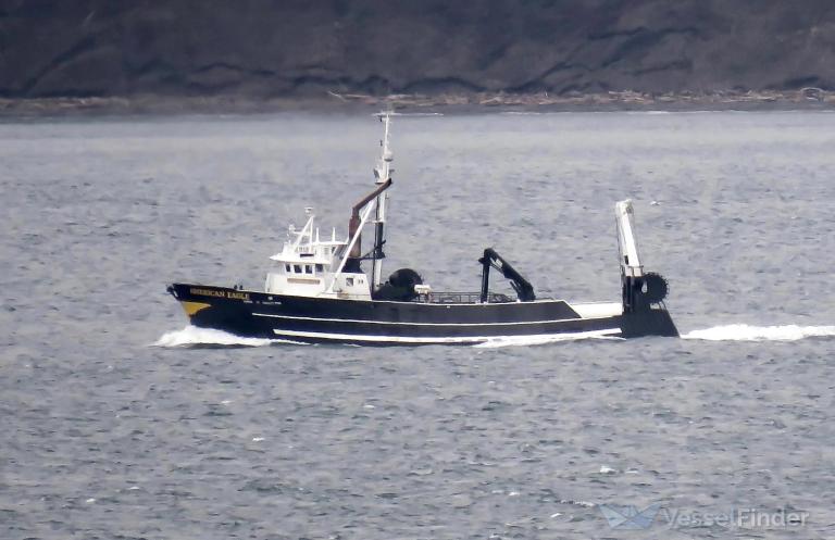 AMERICAN EAGLE photo