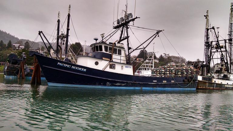PACIFIC HOOKER photo