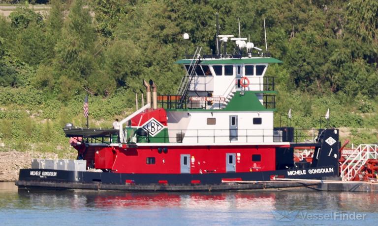 MICHELE GONSOULIN photo