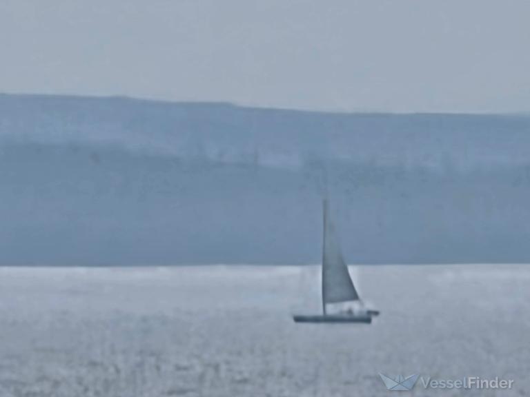 WANDERING FARR photo