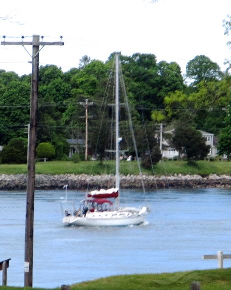 HAIR OF THE DOG photo