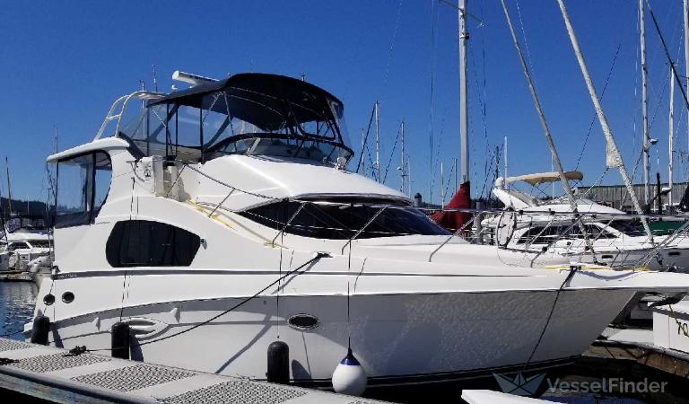 BLIND SQUIRREL photo