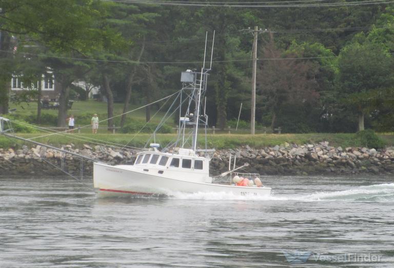 TENACIOUS II photo