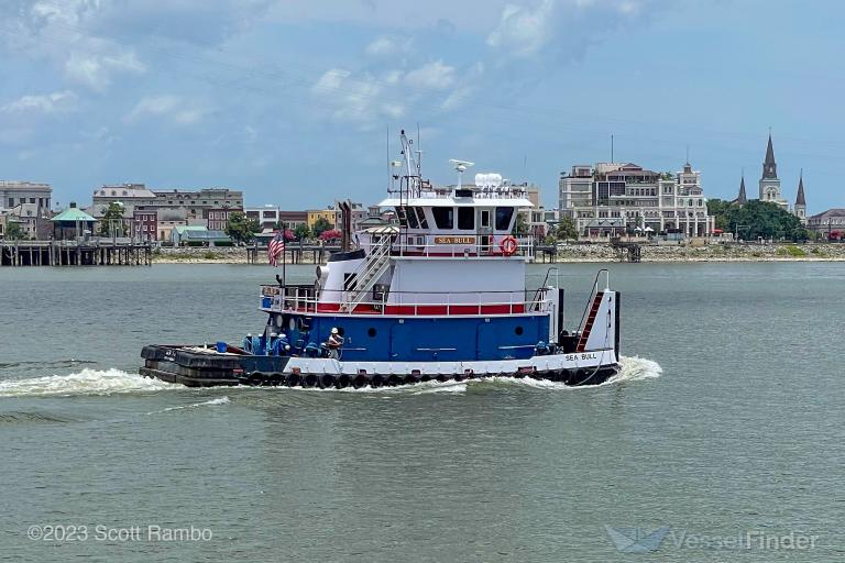 SEA BULL photo
