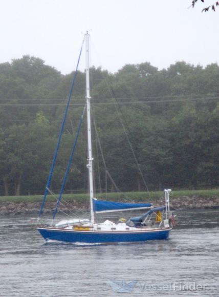 ISLAND ROSE photo