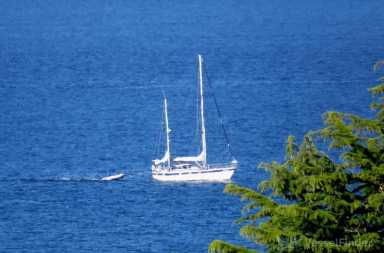 ELECTRA SEA SCOUTS photo