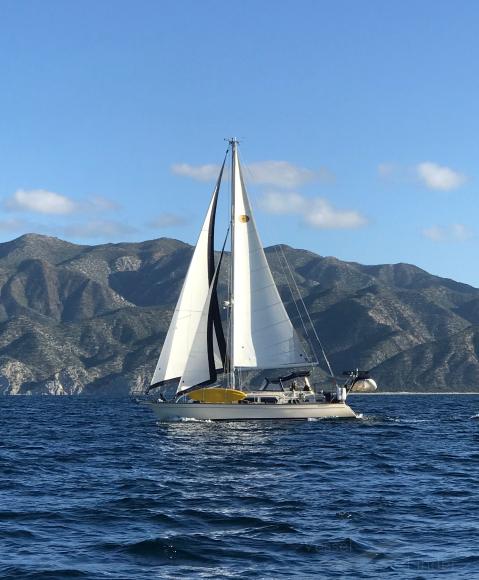 MAKE ME LAUGH AGAIN photo